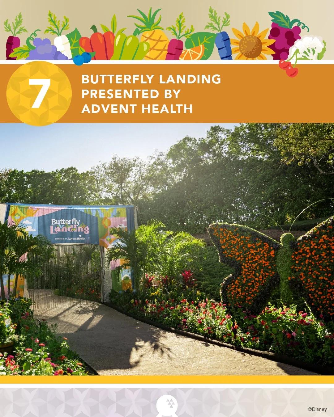  Guests have a chance to get up close and personal with some of nature’s most beautiful pollinators - butterflies! This walkthrough butterfly house highlights the life cycle of butterflies and contains valuable pollinator gardens. Located near the Im
