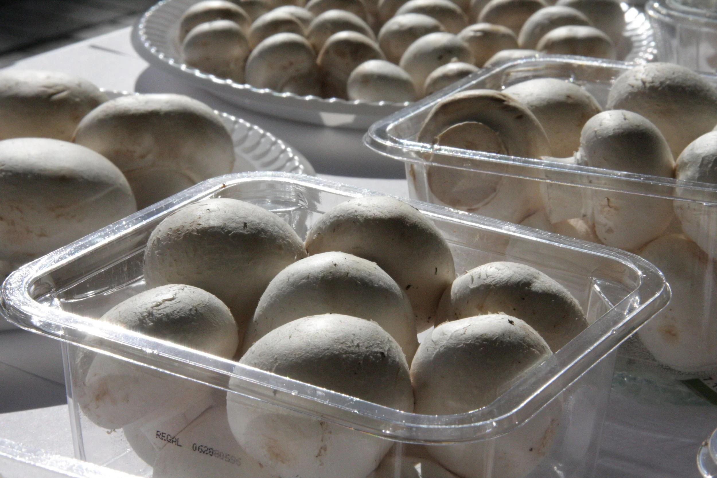 Mushrooms and human health