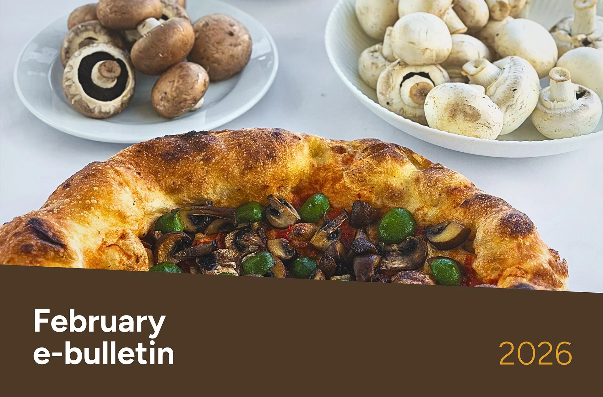 MushroomLink Bulletin February