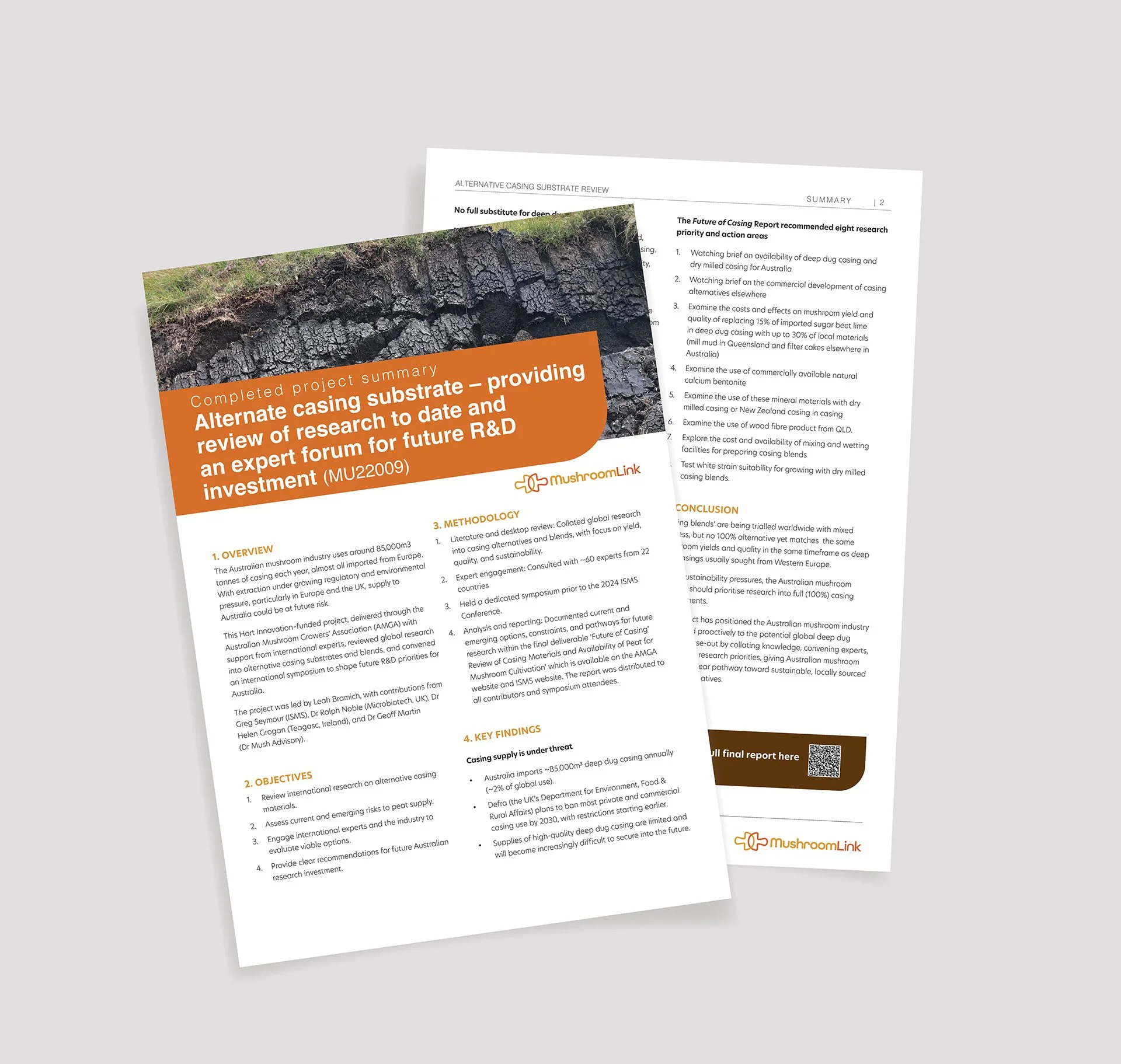 Final report summary: Alternate casing substrate – providing review of research to date and an expert forum for future R&amp;D investment (MU22009)
