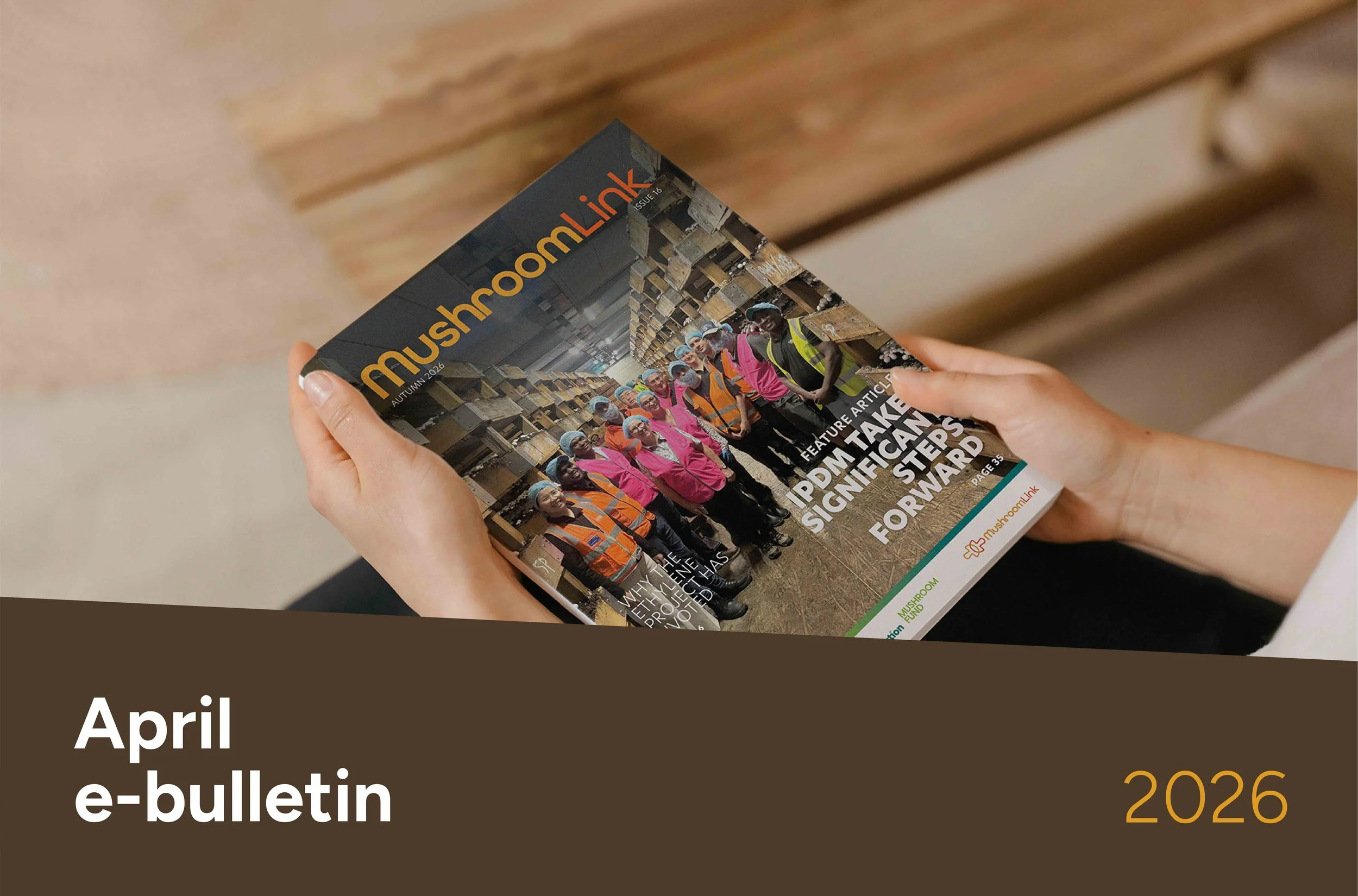 MushroomLink Bulletin April