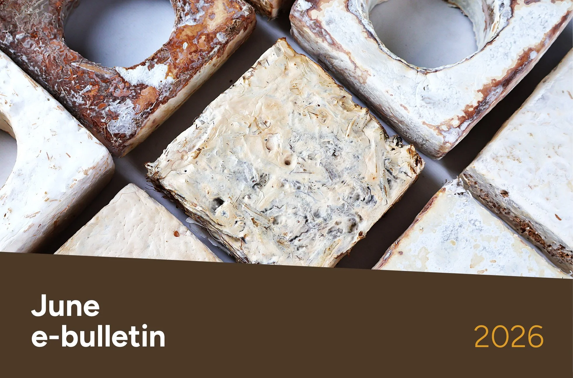 MushroomLink Bulletin June