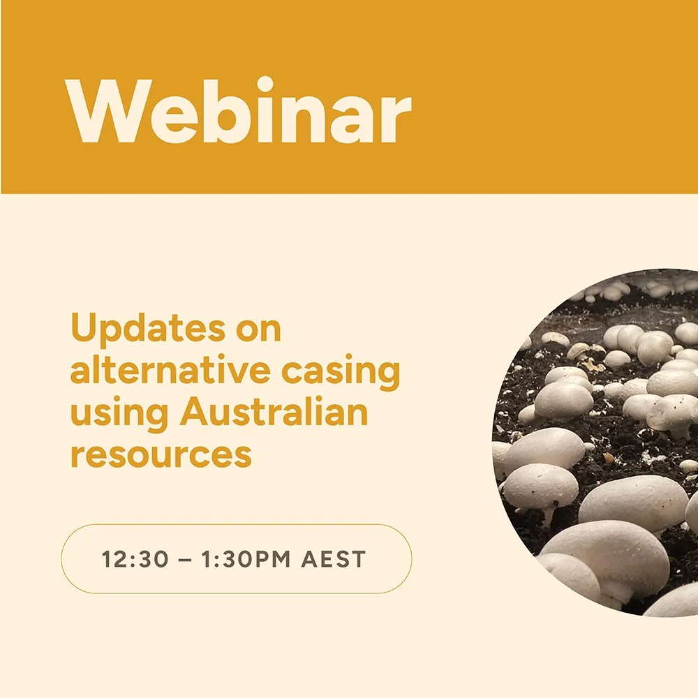 Webinar: Updates on alternative casing using Australian resources