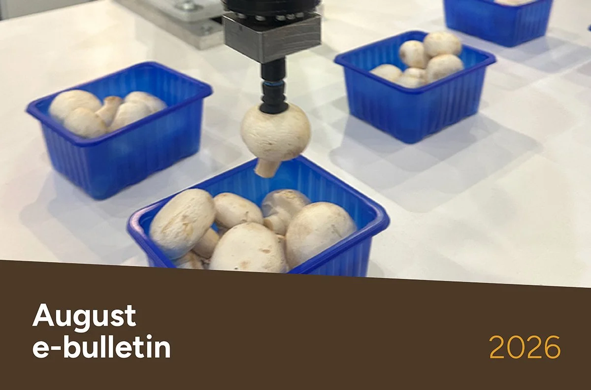 MushroomLink Bulletin August