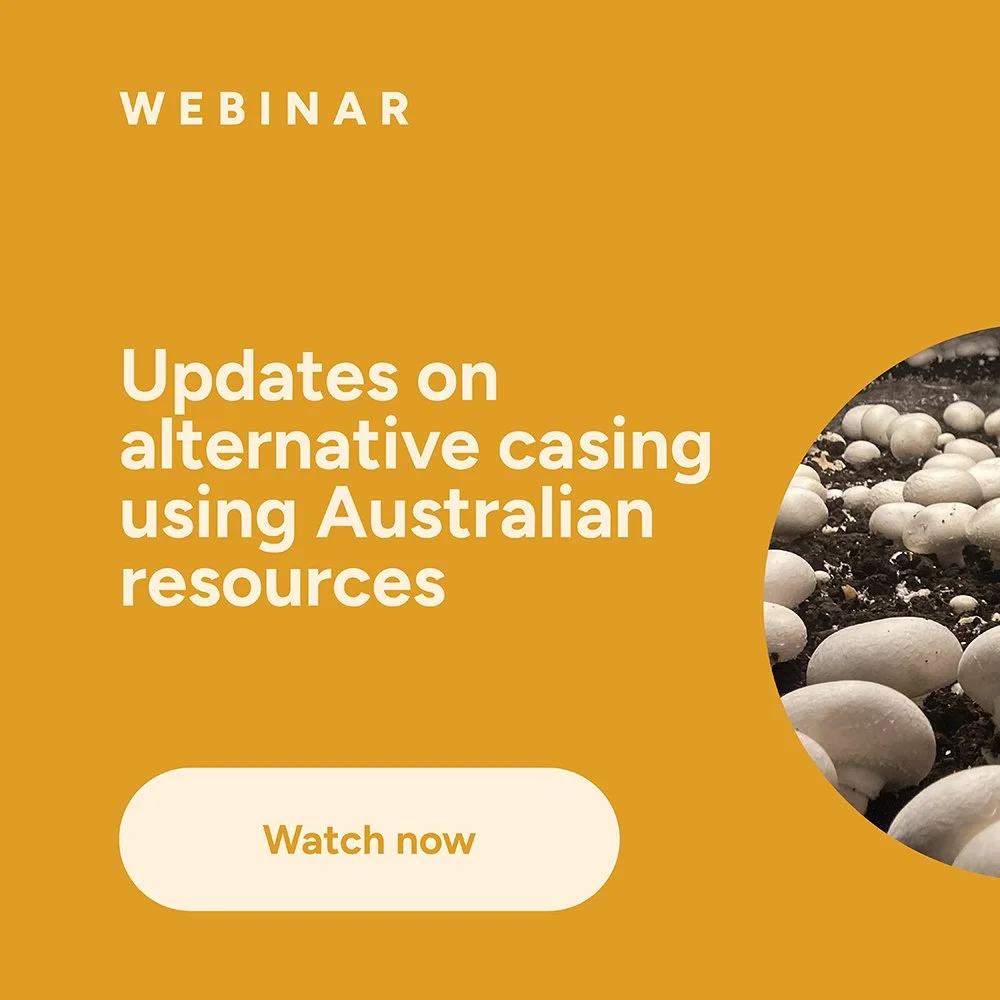 Webinar: Updates on alternative casing using Australian resources