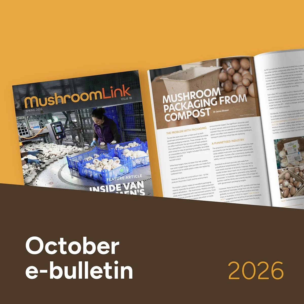 MushroomLink Bulletin October