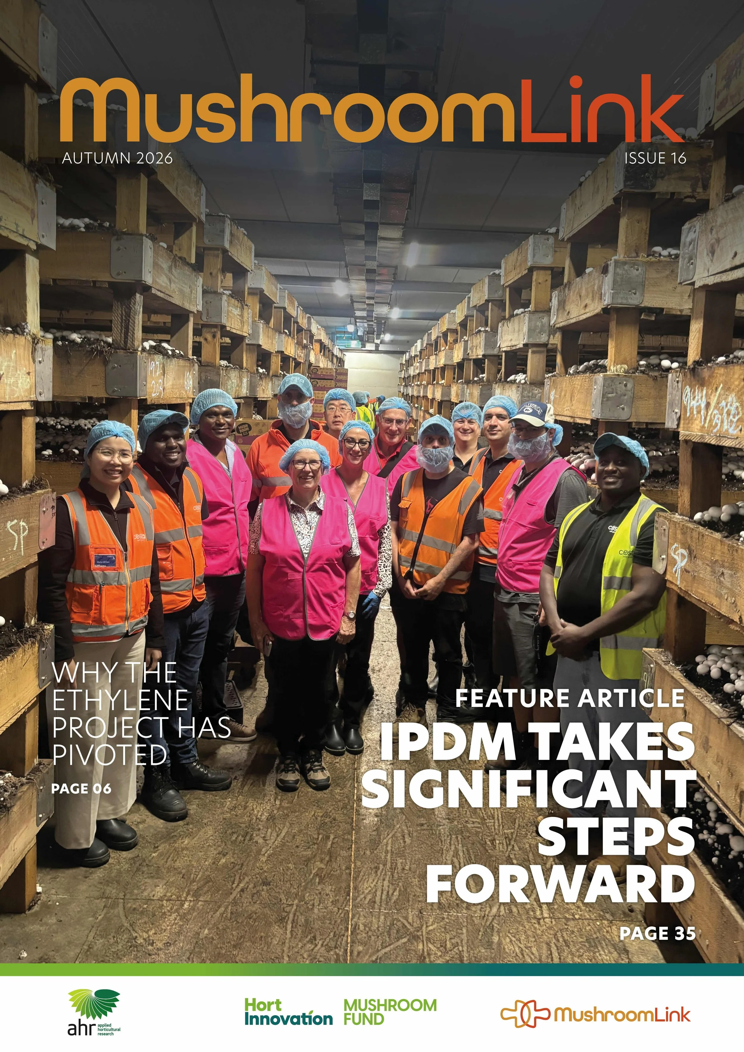 MushroomLink Magazine Issue 16 