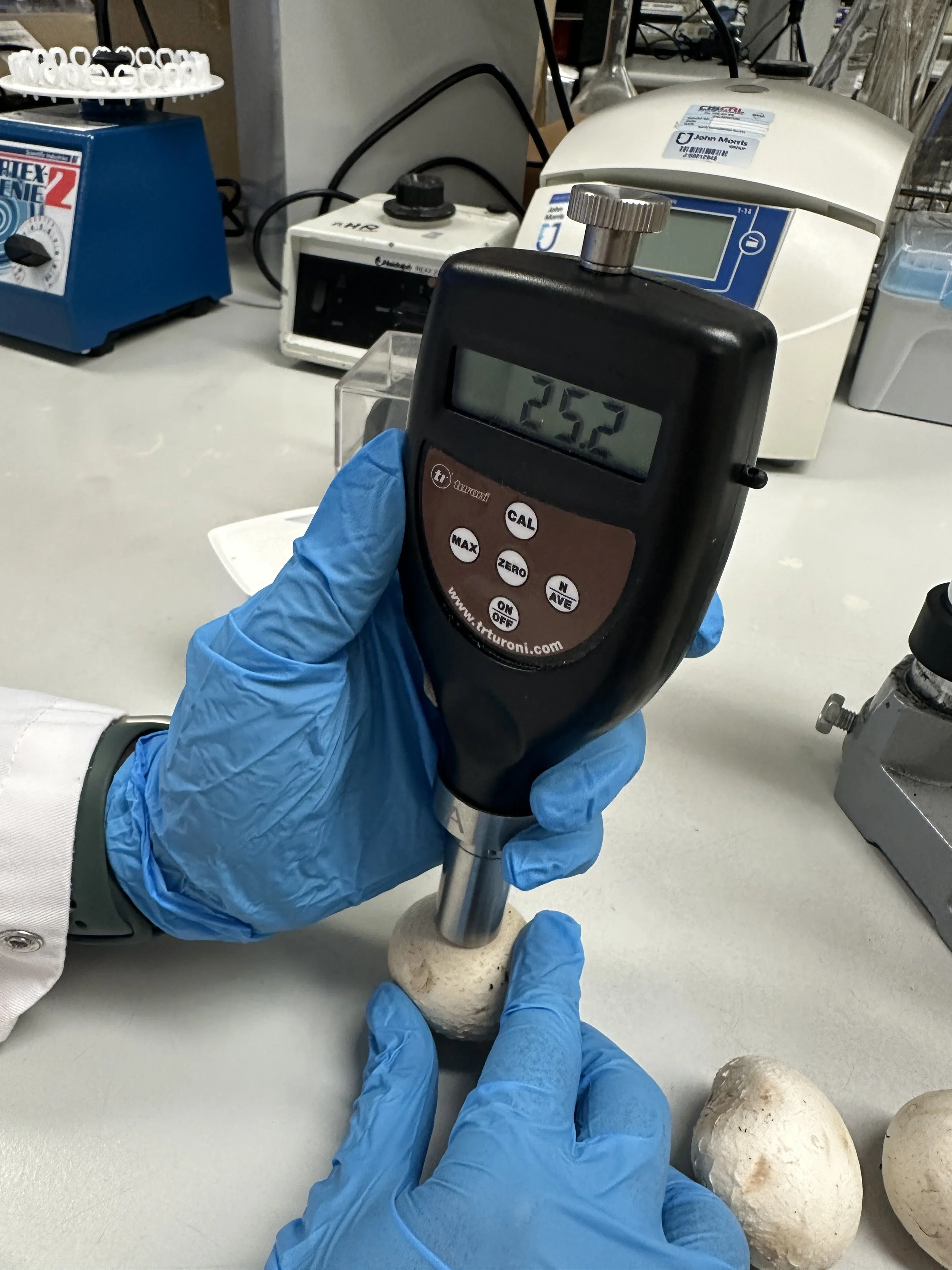 Measuring mushroom quality: Changes by degree