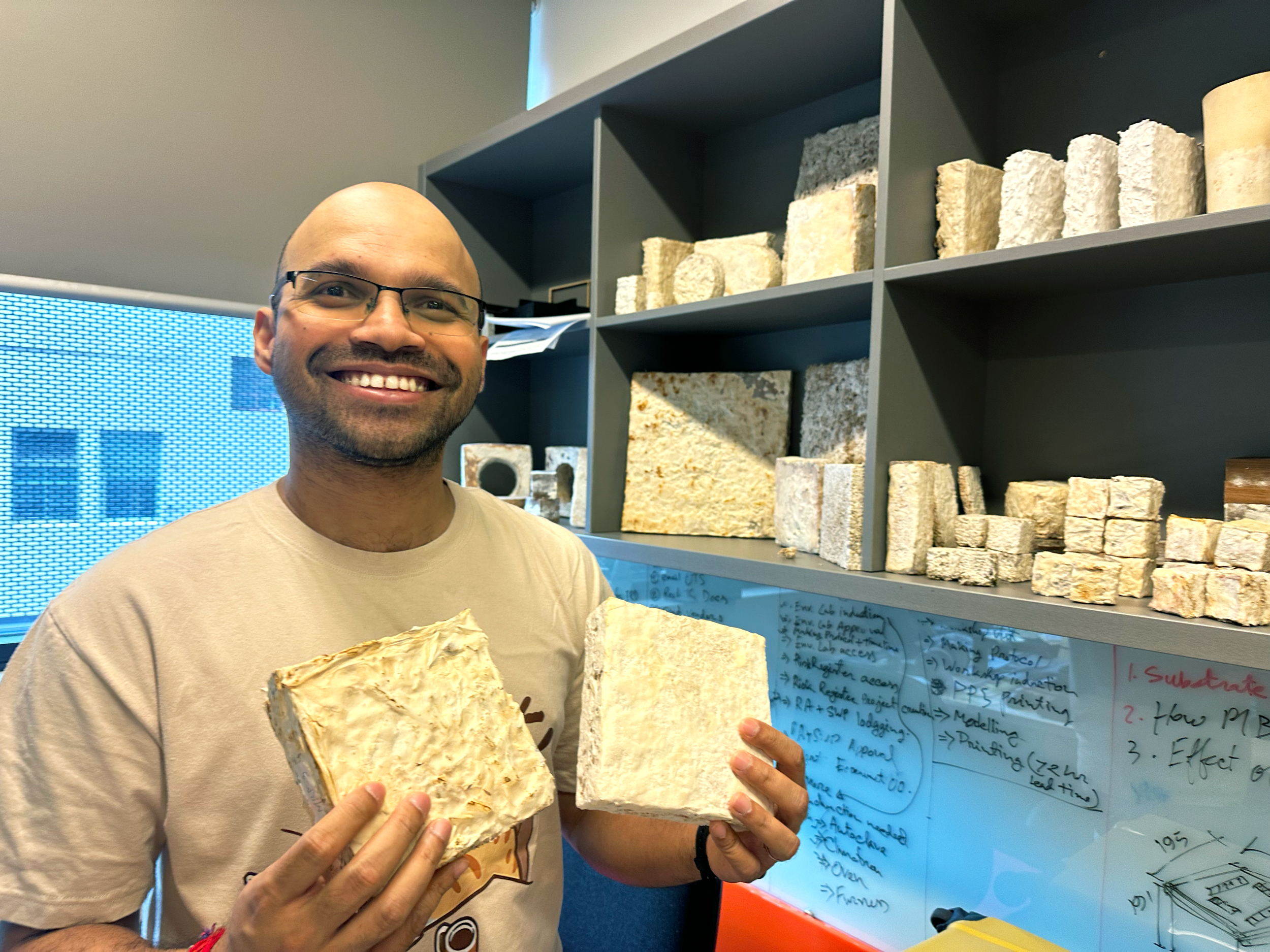 Fungi for furniture and construction