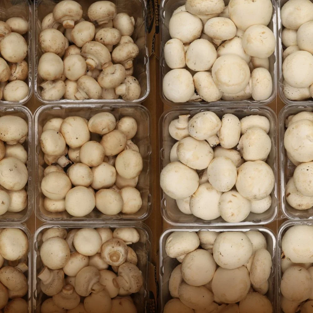 Improving mushroom supply chain handling and packaging to reduce quality loss
