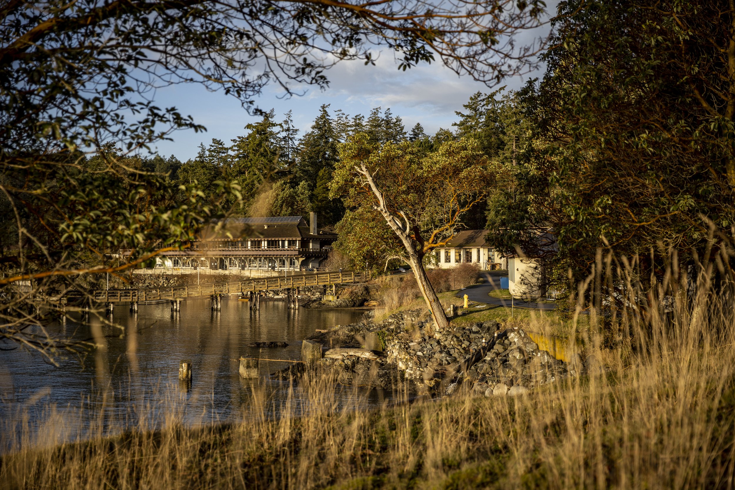   Friday Harbor Laboratories, located on San Juan Island, is the location of the first sunflower sea star captive rearing program, a collaboration between the University of Washington and The Nature Conservancy. // Dennis Wise - University of Washing