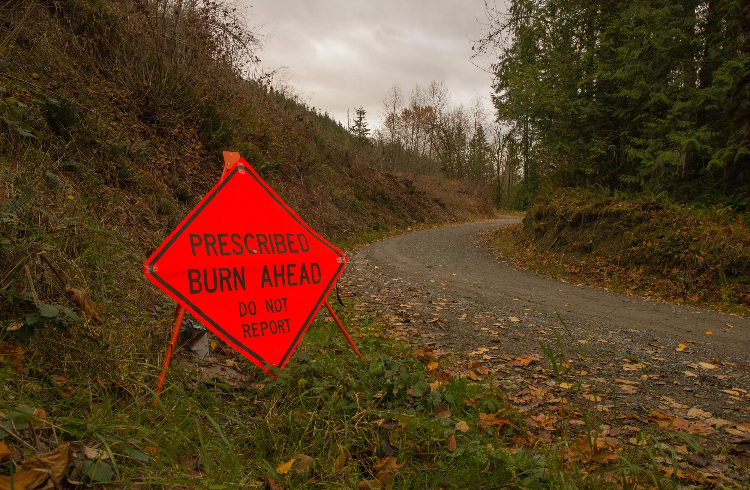 Braiding Destruction And Regeneration