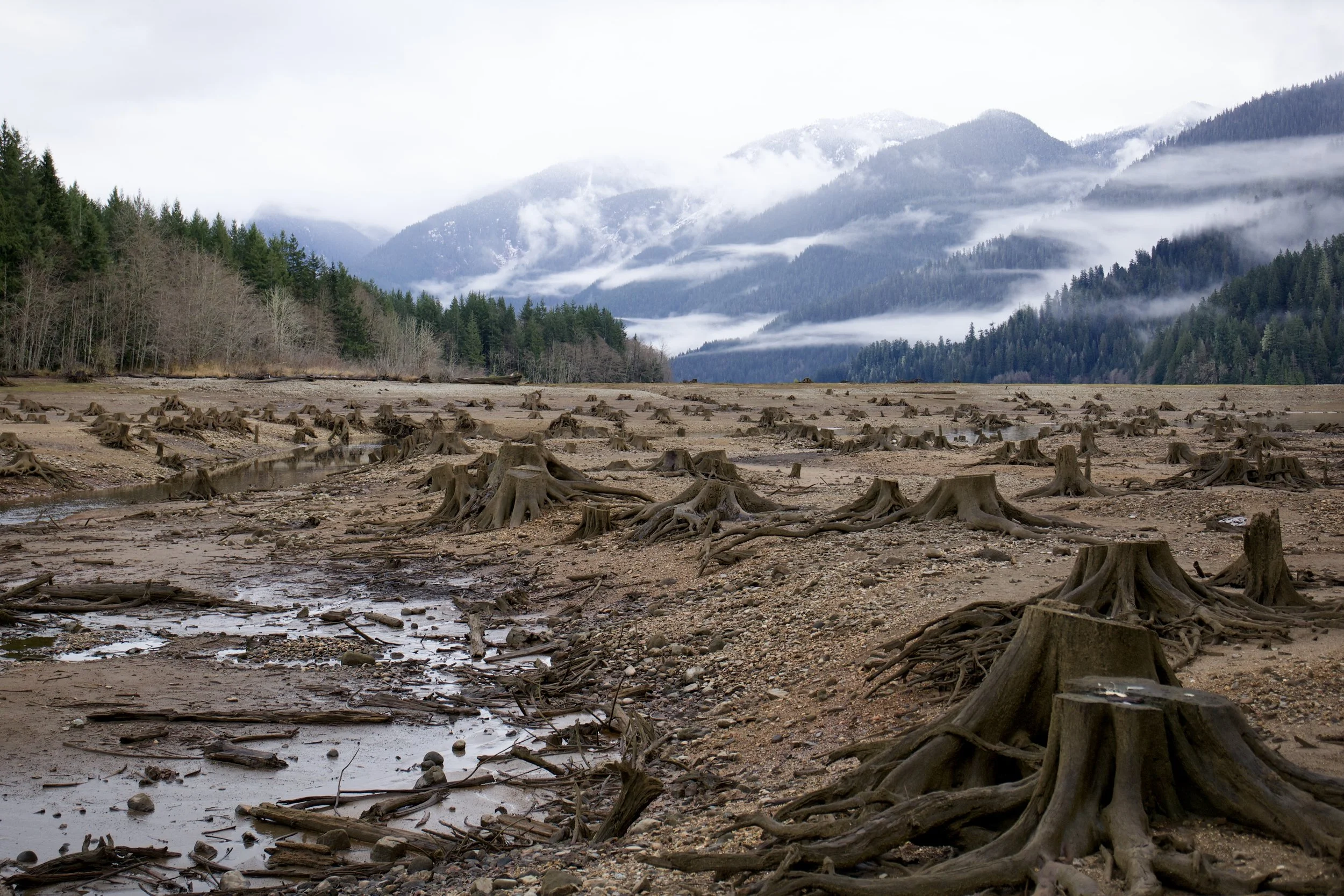 The Sky Is Falling; How Does That Feel?