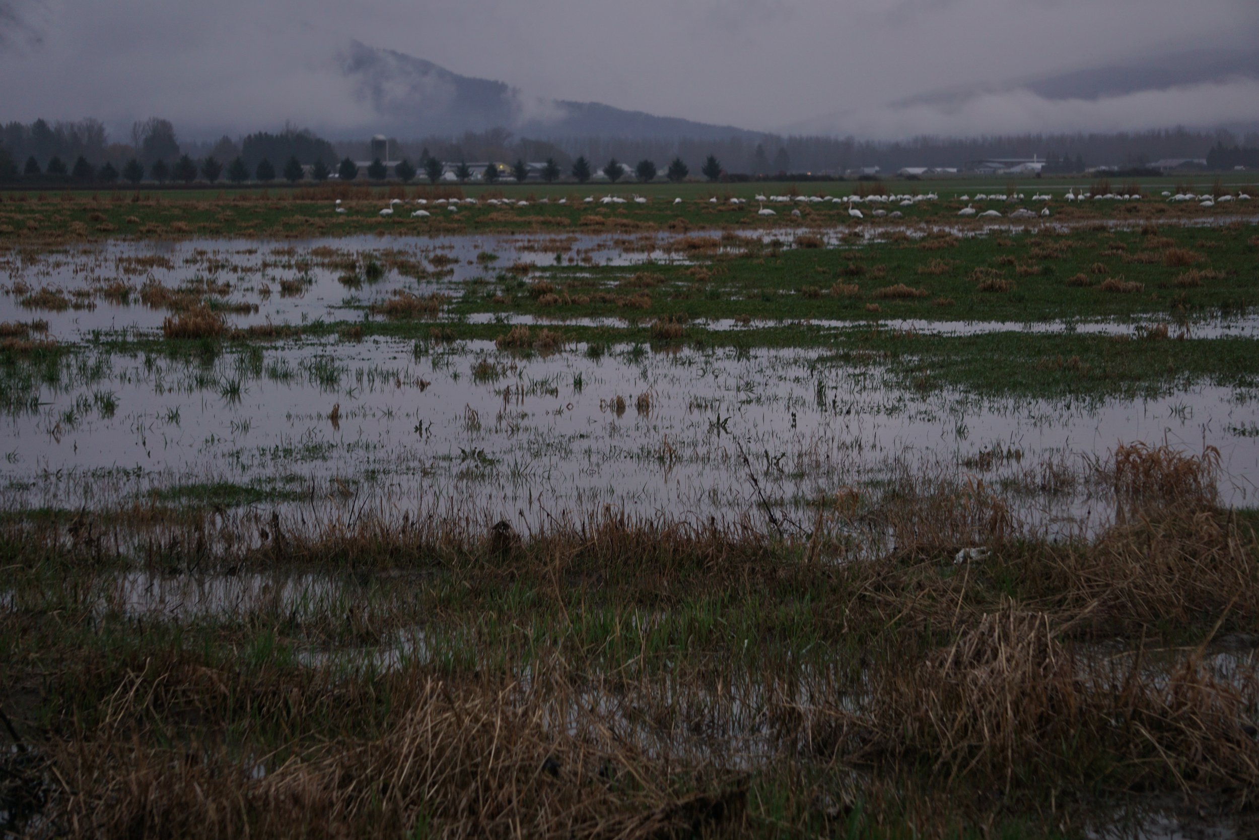 As the Floods Recede, Community Comes Together