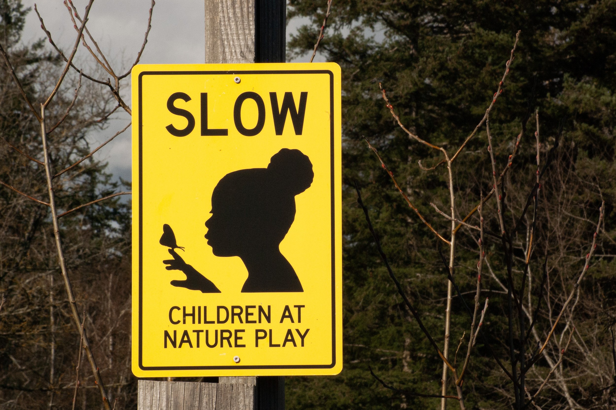 Nature Meets Nurture