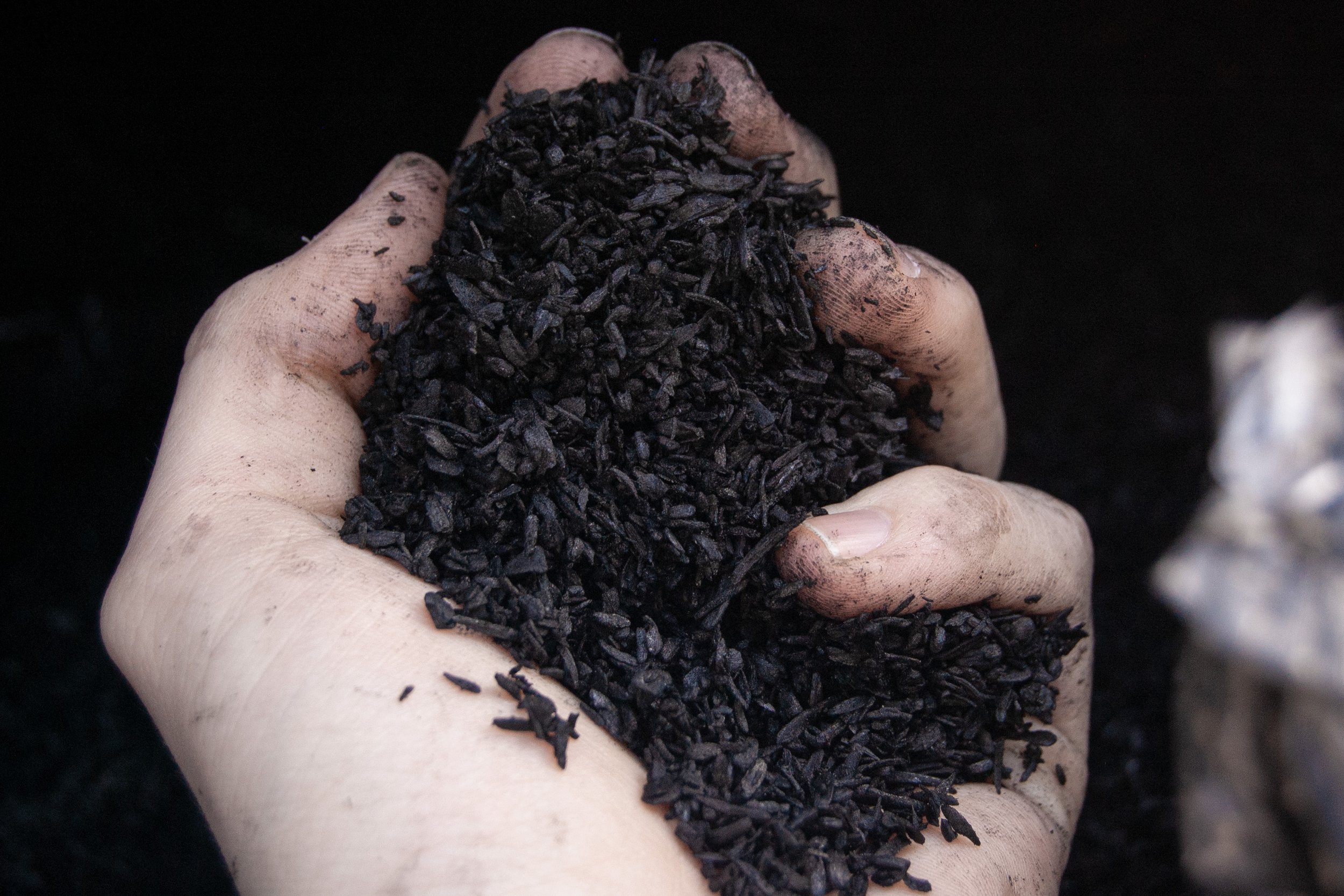 The Beauty of Biochar
