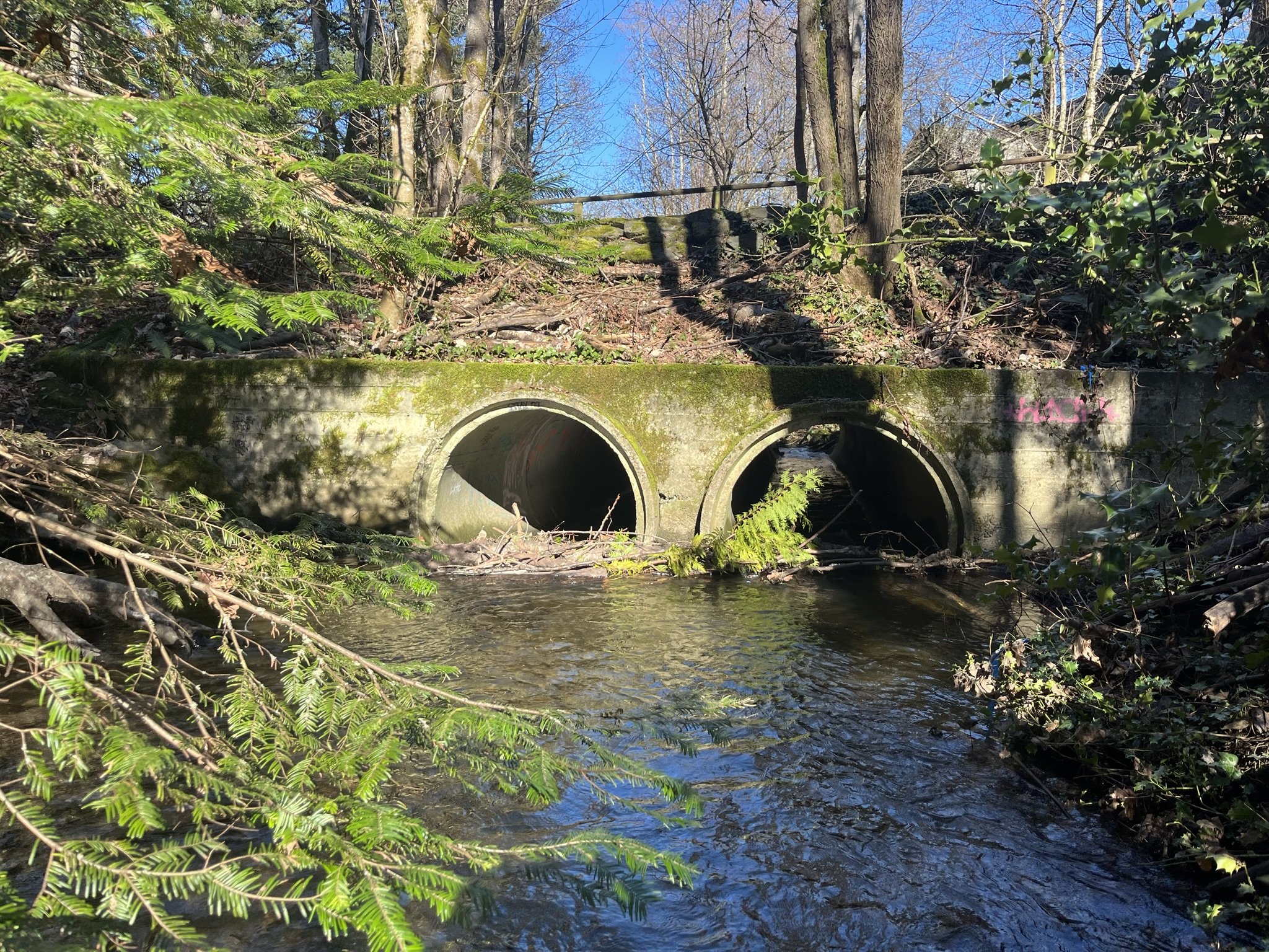Padden at 14th - Before - 2024 (1).JPEG