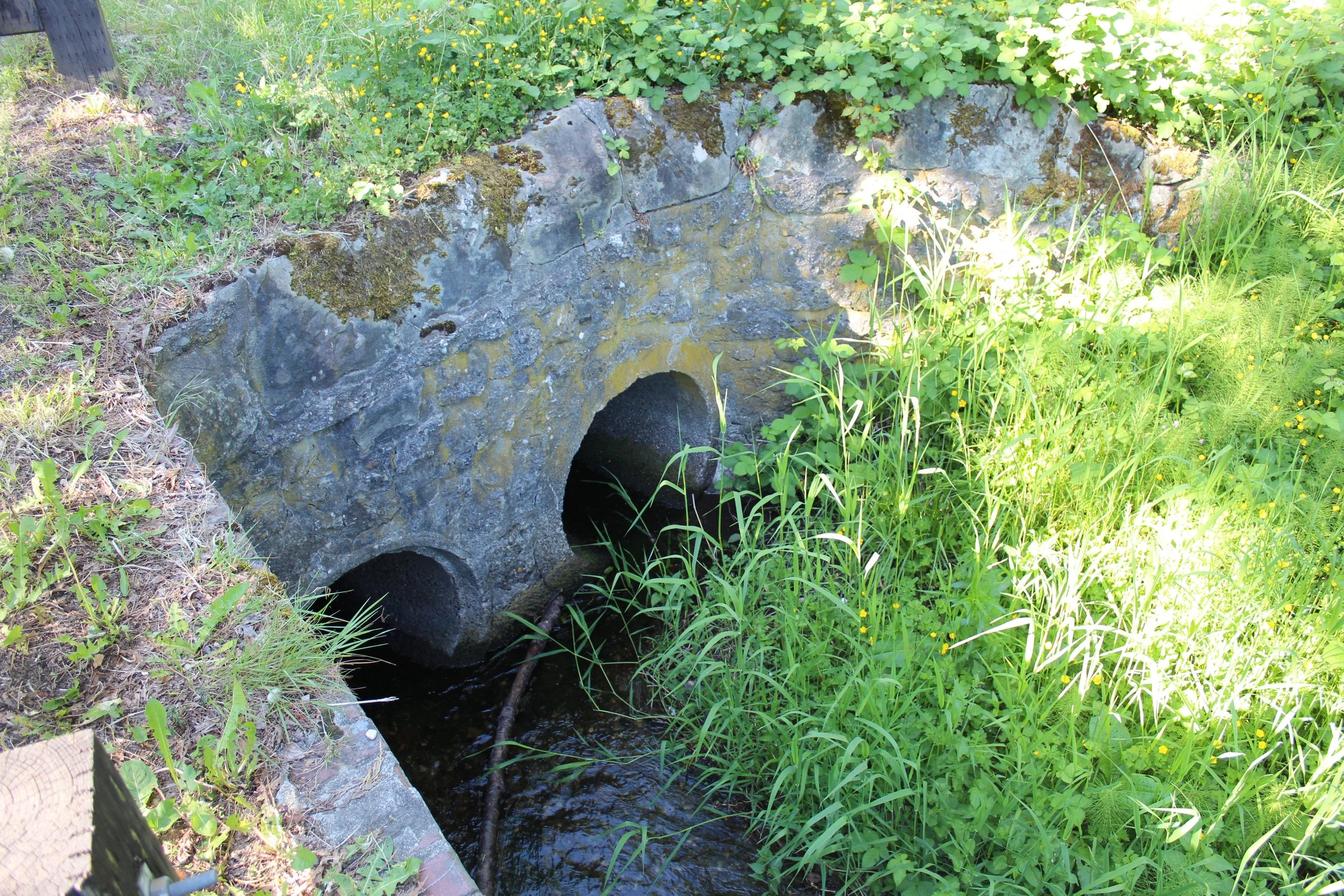 Padden at 30th.jpg