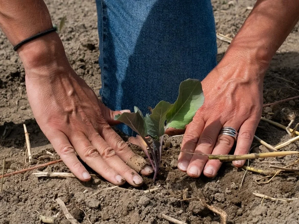 Sustaining the Subsoil