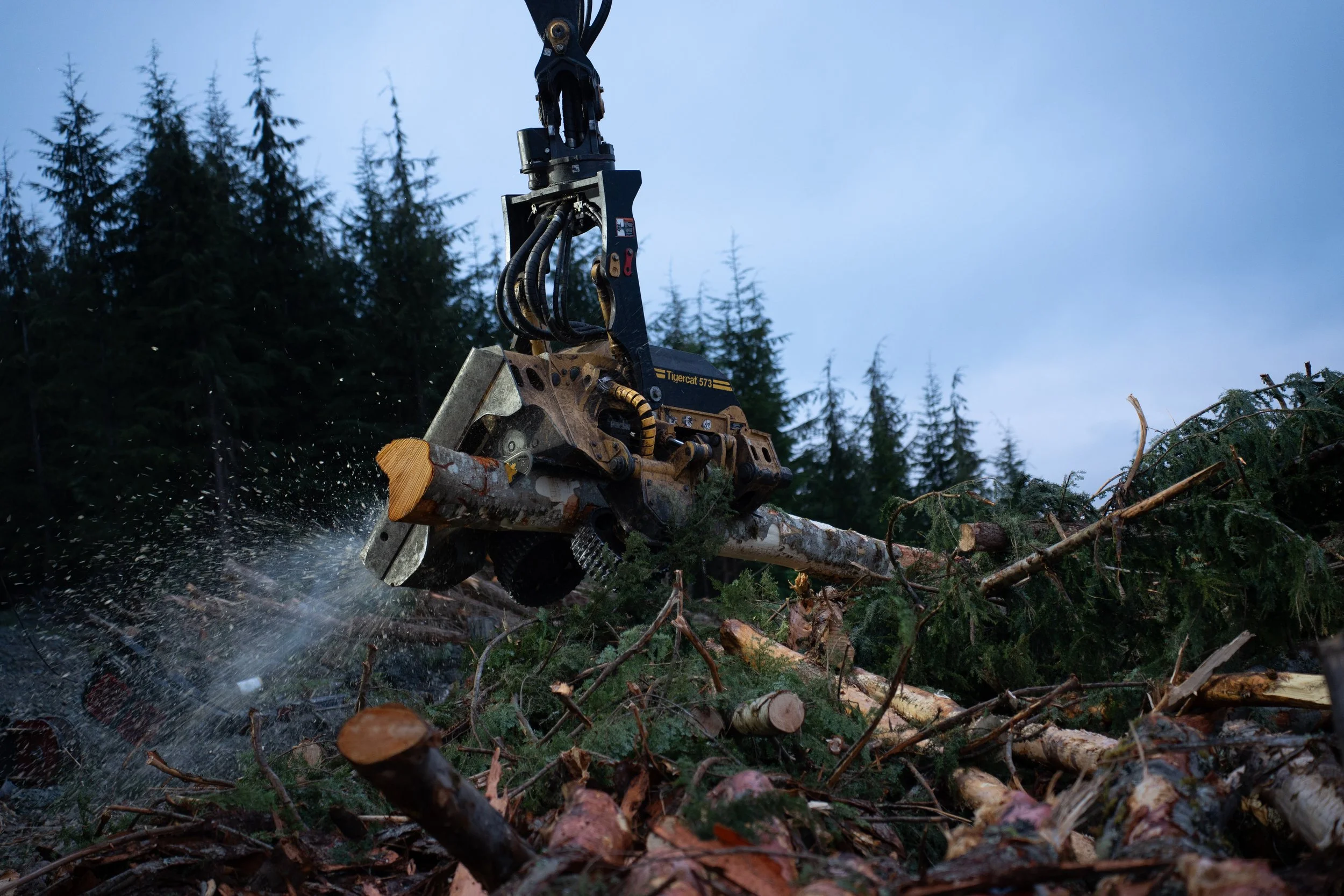 Losing the Life Line of Logging