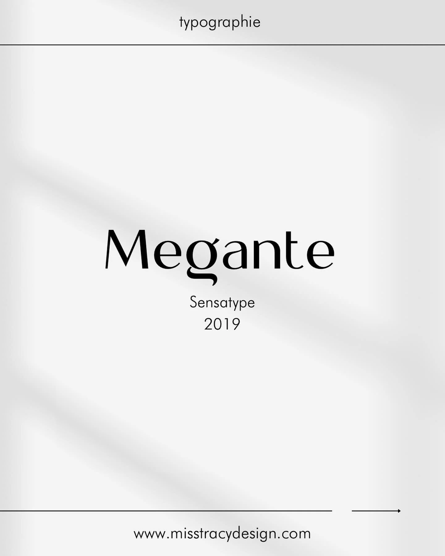 TYPO

Megante est une police moderne et &eacute;l&eacute;gante avec un style chic et d&eacute;contract&eacute;. J&rsquo;ai utilis&eacute; cette police pour le projet &laquo;&nbsp;les galiciens&nbsp;&raquo;. Lors du choix de la typo, la lettre g en mi