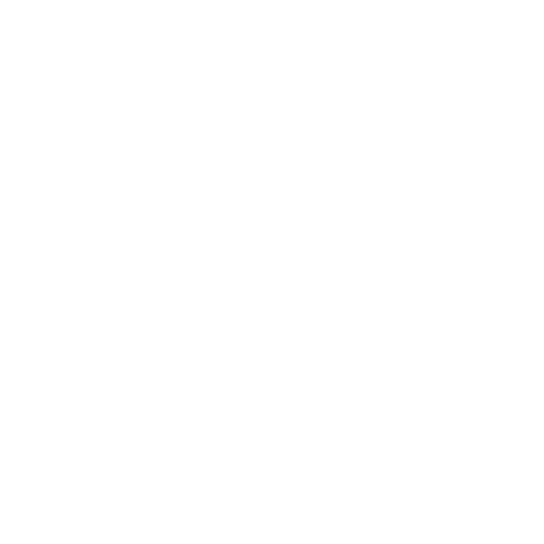 Sun icon with a lightning bolt in the center, indicating solar power or energy.