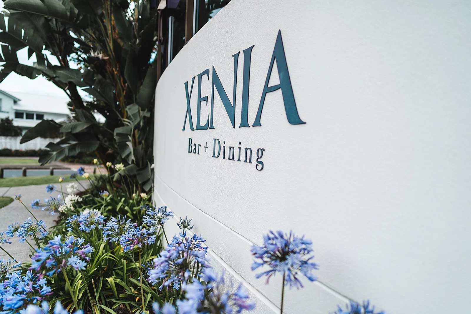 Gallery — Xenia Grill