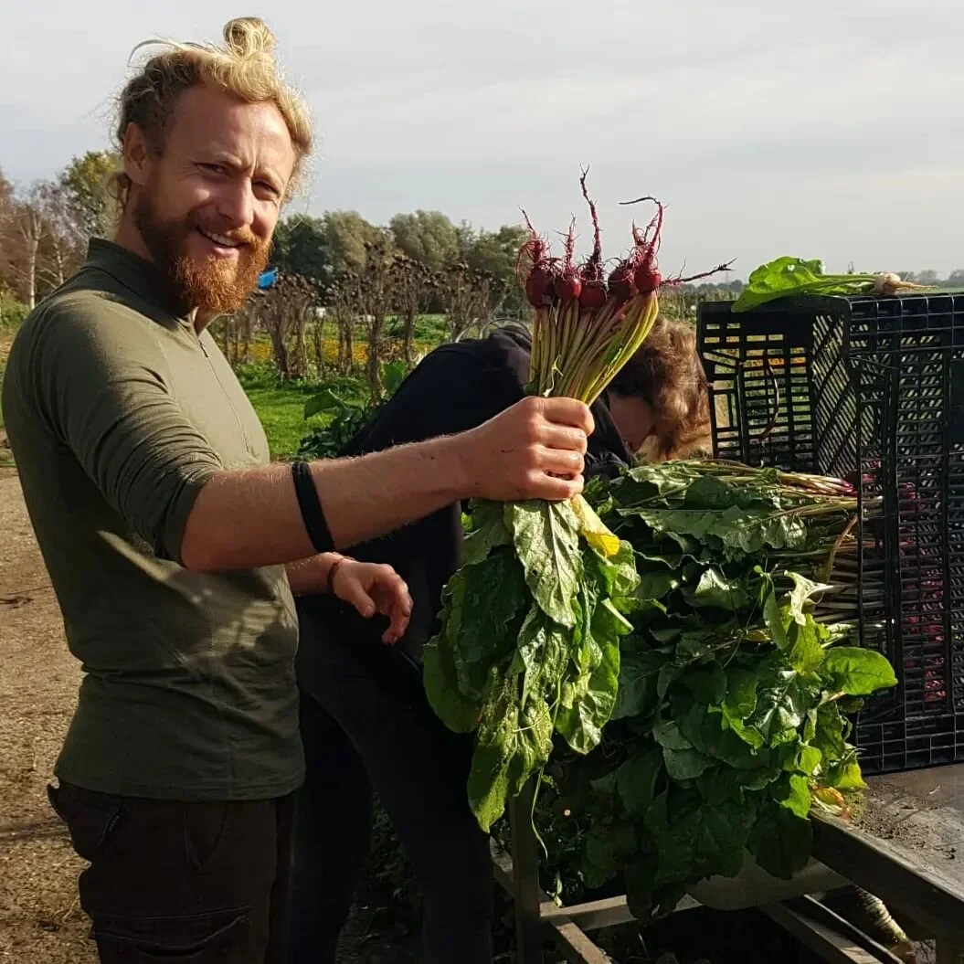 Laatste bietjes oogst! #groentepluktuin #zelfoogst #biet