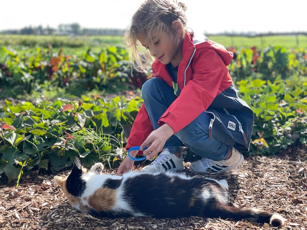 kind met poes saar.jpg