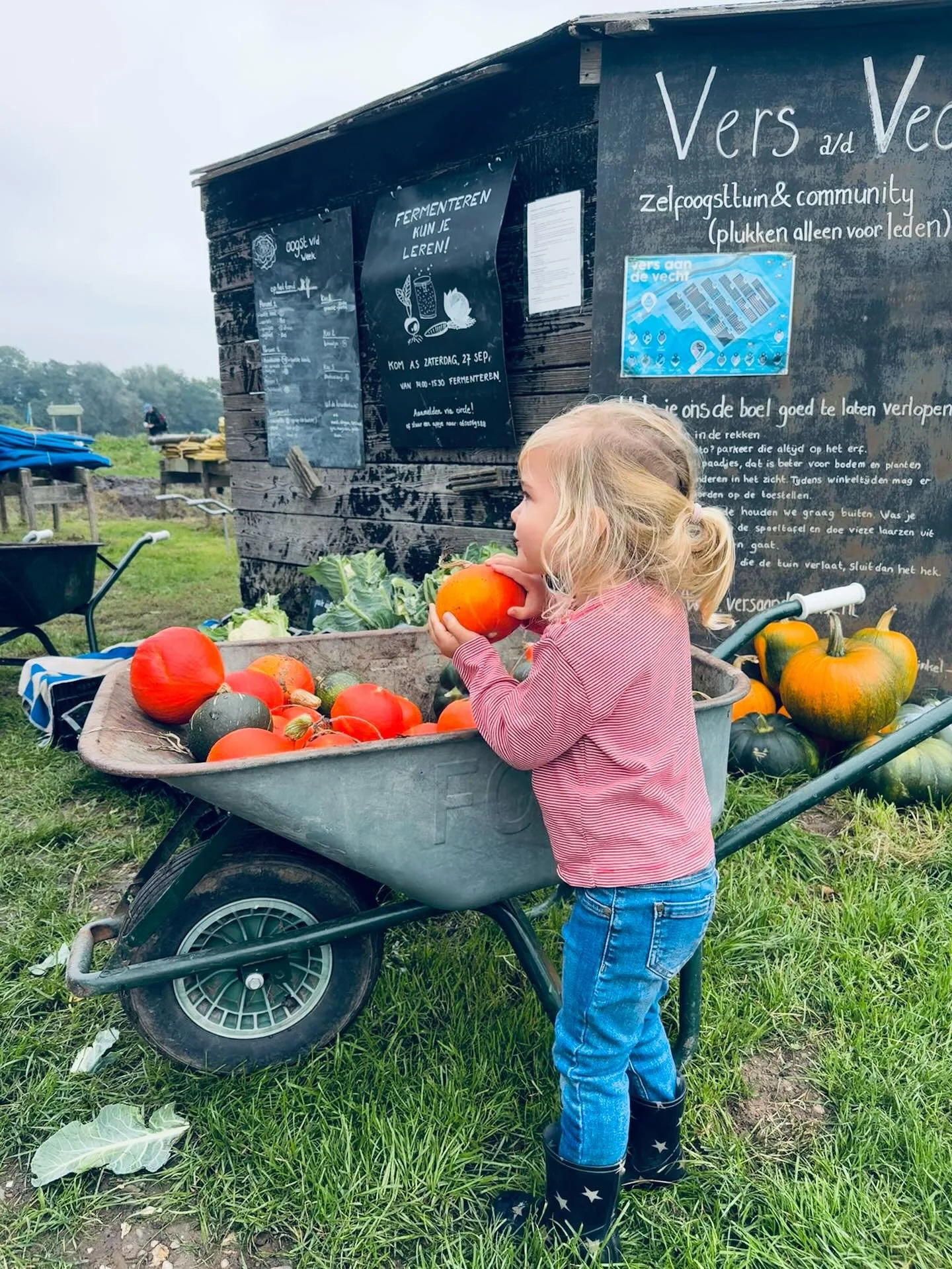 Dit weekend genoten we weer van de vele kleine plukkers in de tuin. 🌱
Zo mooi om te zien hoe ze van jongs af aan kennismaken met de natuur en gezonde voeding. Wij worden er altijd blij van &mdash; die kleine helpende handjes zijn meer dan welkom! 

