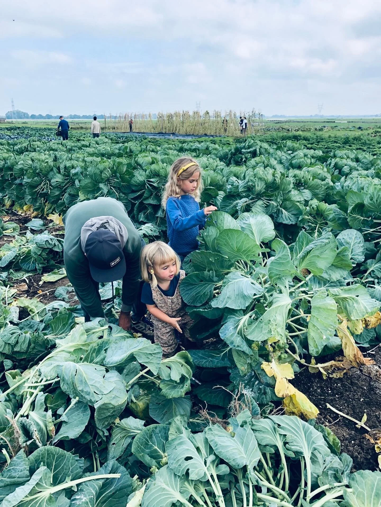Een paar fijne beelden van afgelopen week op de tuin 🪏 het was hard werken, maar vooral veel oogsten. Wat je zelf hebt geplukt, smaakt toch altijd beter &hearts;️ Pluk jij ook met je (klein)kids? Wat vinden ze het leukste? 

Vers aan de Vecht
Wij wi