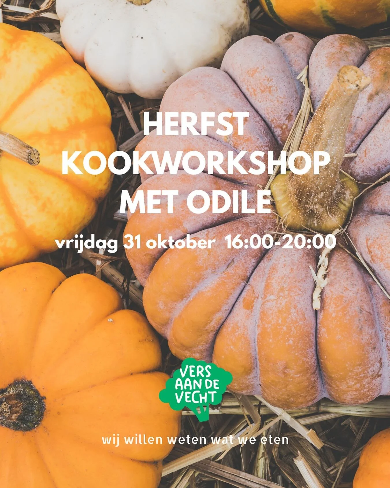 🍂 Herfstkookworkshop met Odile

Vrijdag 31 oktober | 16:00&ndash;20:00 | De Groene Griffioen

De herfst is in volle gang, tijd om samen te koken!

Odile neemt je mee in een workshop vol geurige gerechten met de groenten van het seizoen. Denk aan pom
