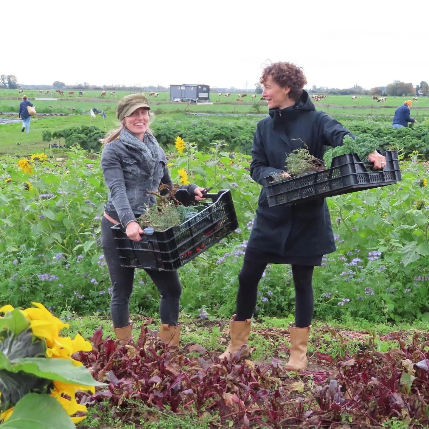 Hoe leuk! We staan met een mooi stuk in Ekoland. &lsquo;Samenwerken en samen groeien&rsquo;.

Wendela: &quot;Wij willen ook graag ontwikkelen en een breder aanbod bieden bij de Groene Griffioen, een soort broedplaats van duurzaamheid worden. Maar wij