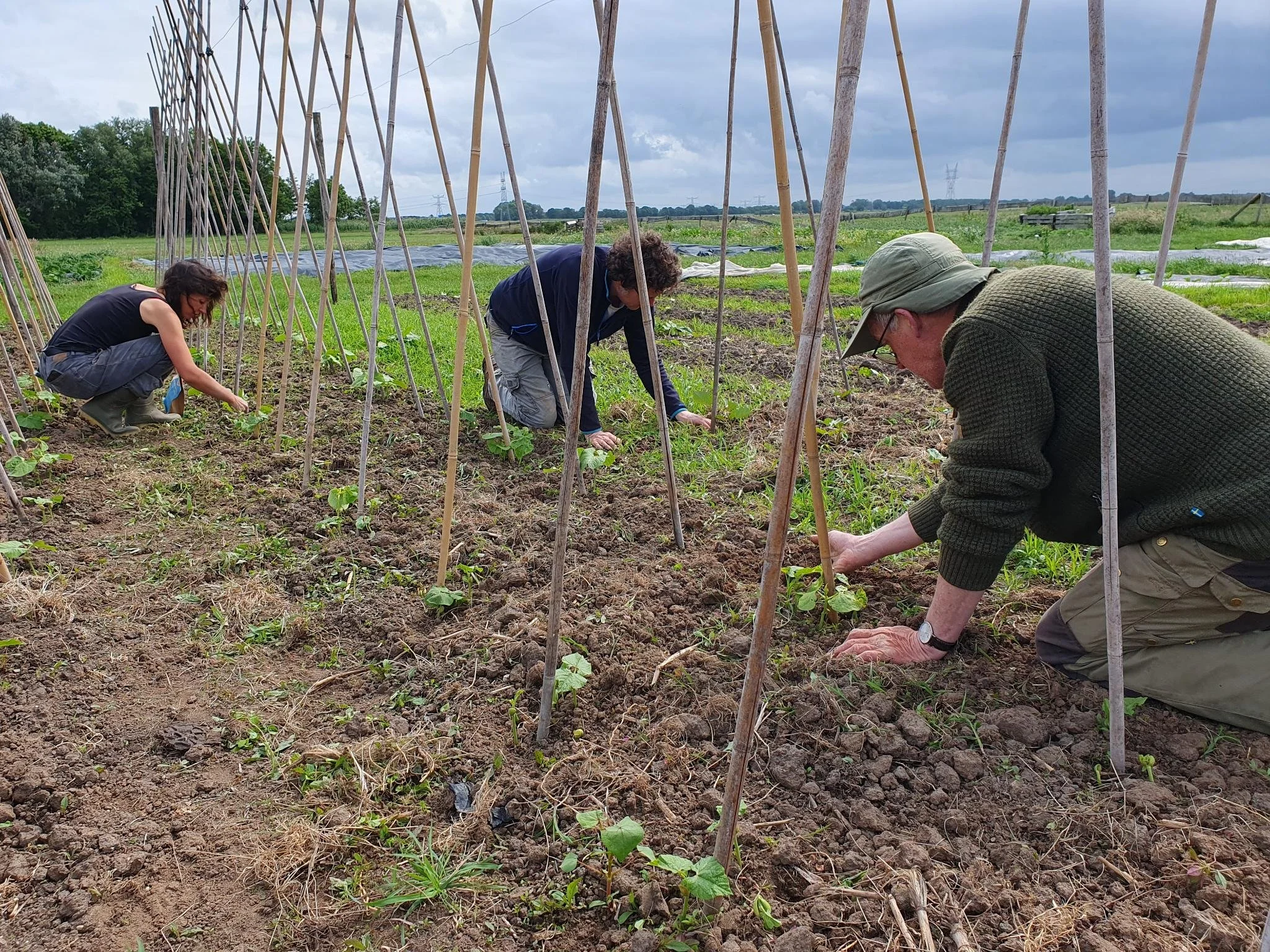 helpende handen wieden 25.jpeg