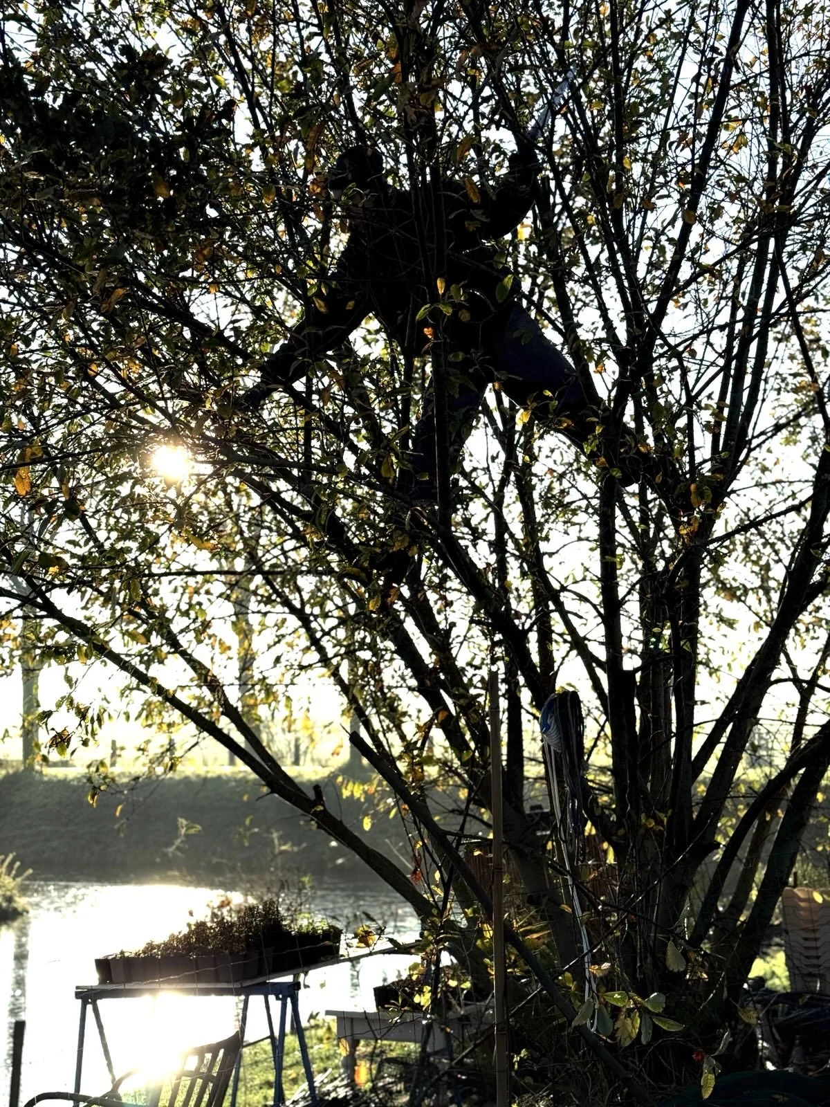Eerste voedselbos van Weesp van start