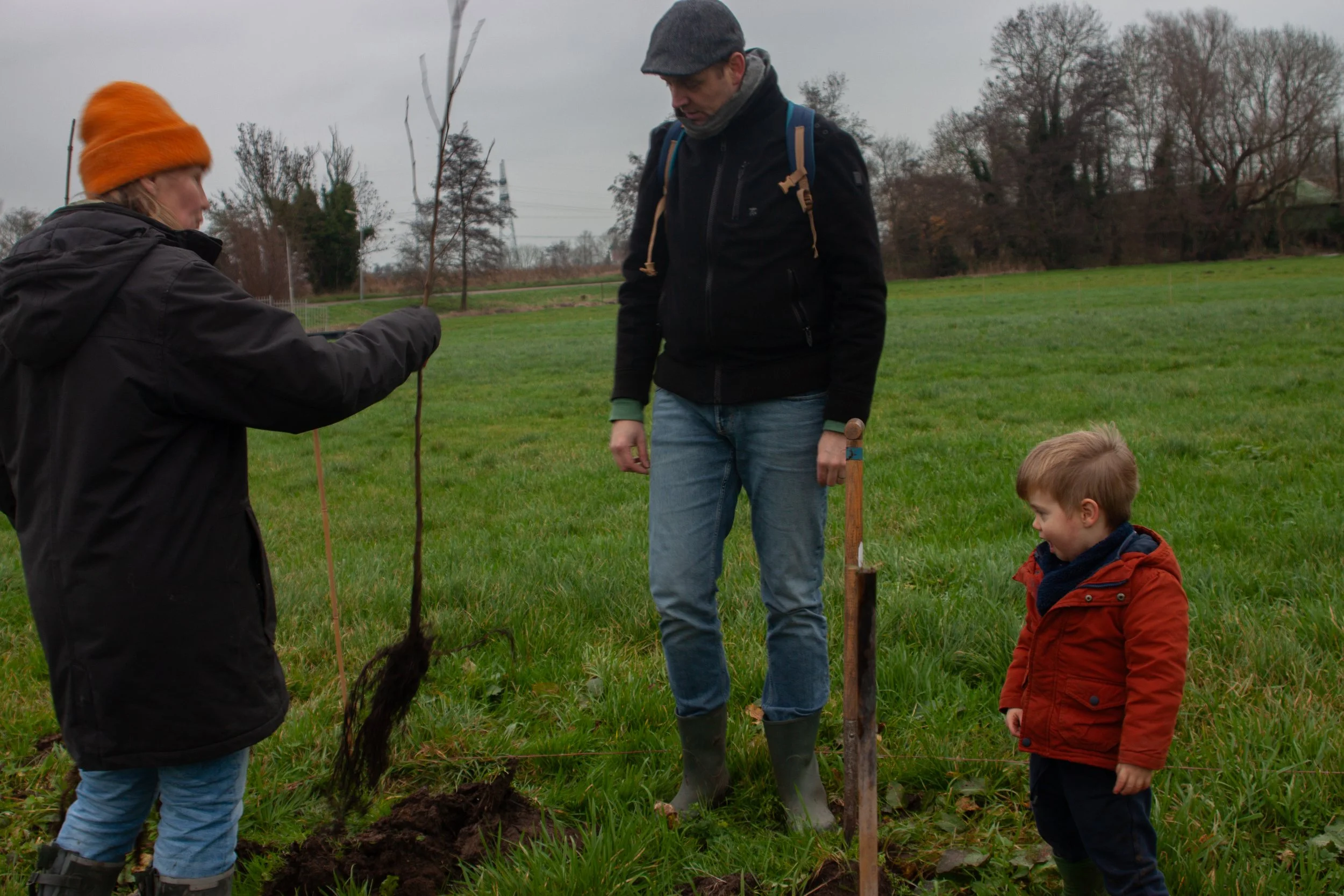 Voedselbos klussen 2: aanplant bessen