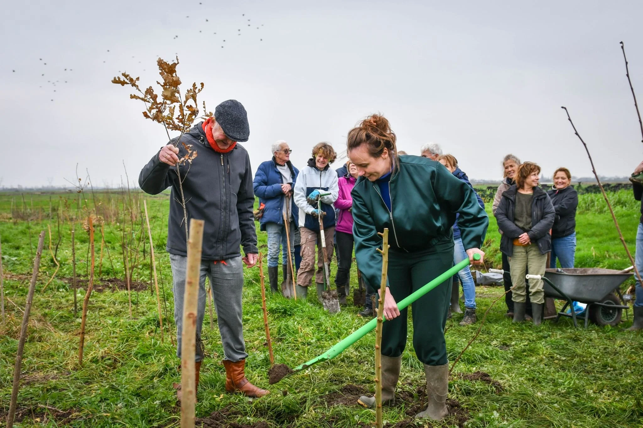 Voedselbos klussen 5: aanplant groenbemesters