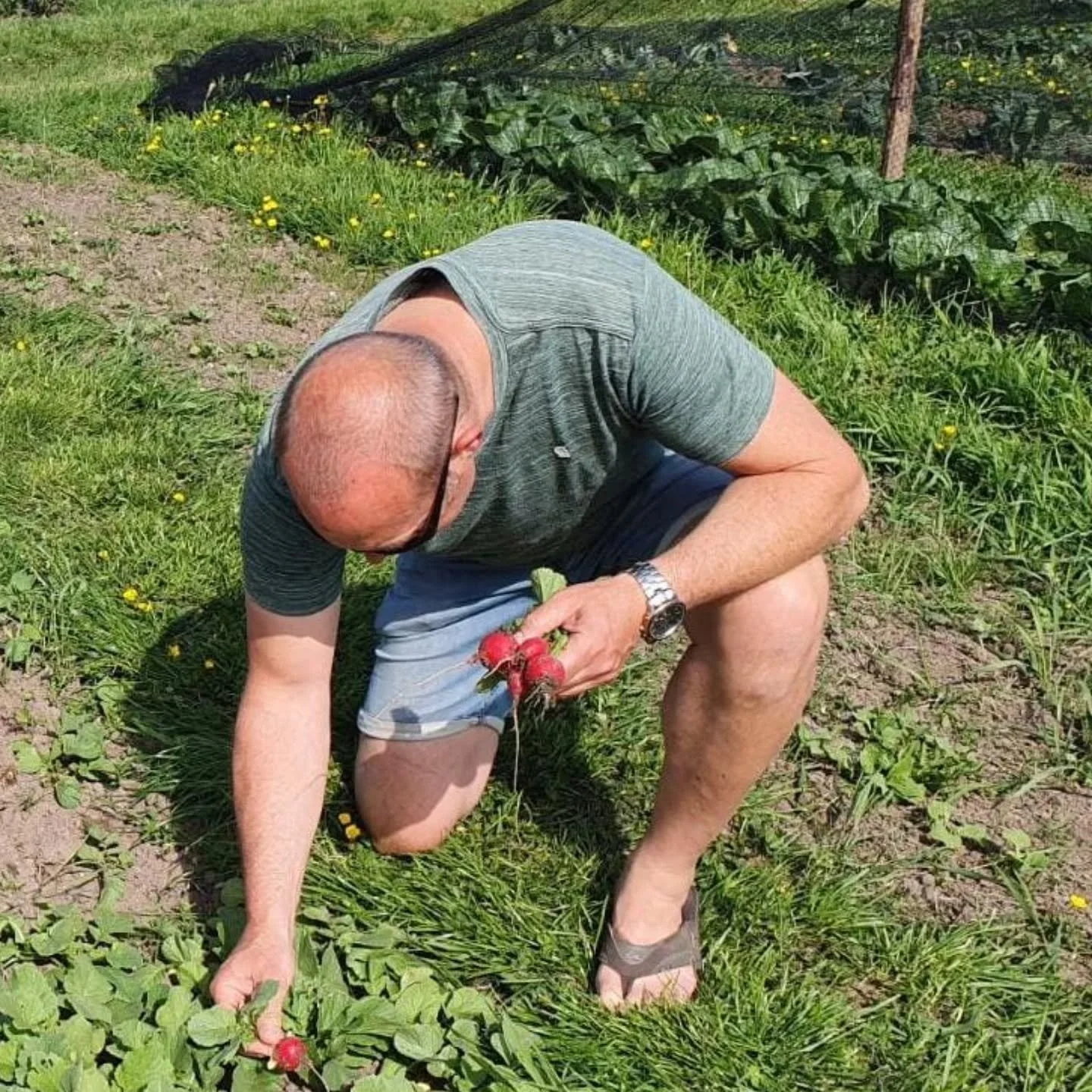 - Mensen op de tuin - 

Op de tuin zijn er wekelijks een groot aantal plukkers die komen oogsten. In deze rubriek maken we kennis met een aantal van onze plukkers!

Deze keer: Dave.

Wie ben je en waar woon je?
Dave uit Weesp

Wie eet er allemaal mee