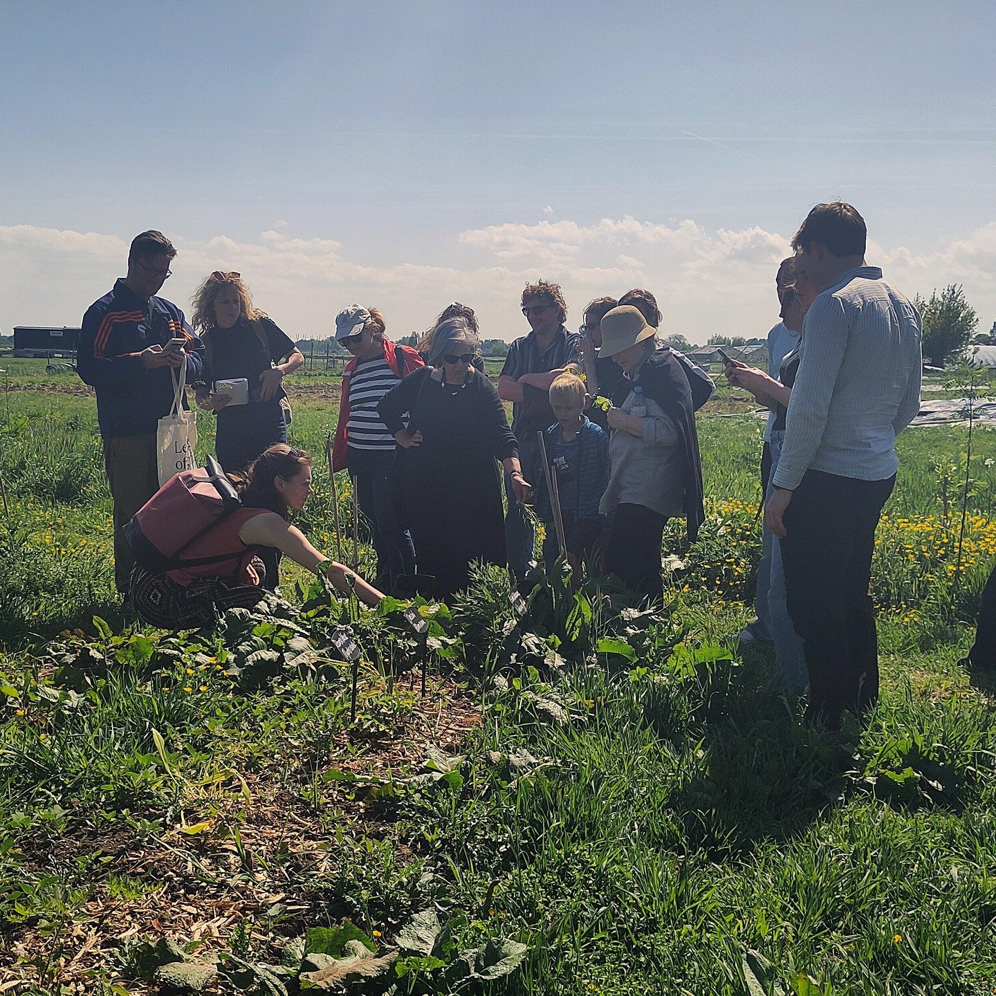 Workshop wildplukken.

Afgelopen week vond de workshop wildplukken plaats onder leiding van Maartje.

De workshop was druk bezocht en het weer was er perfect voor!
Dank aan alle deelnemers en aan Maartje natuurlijk!

Lijkt het jou ook leuk om een wor