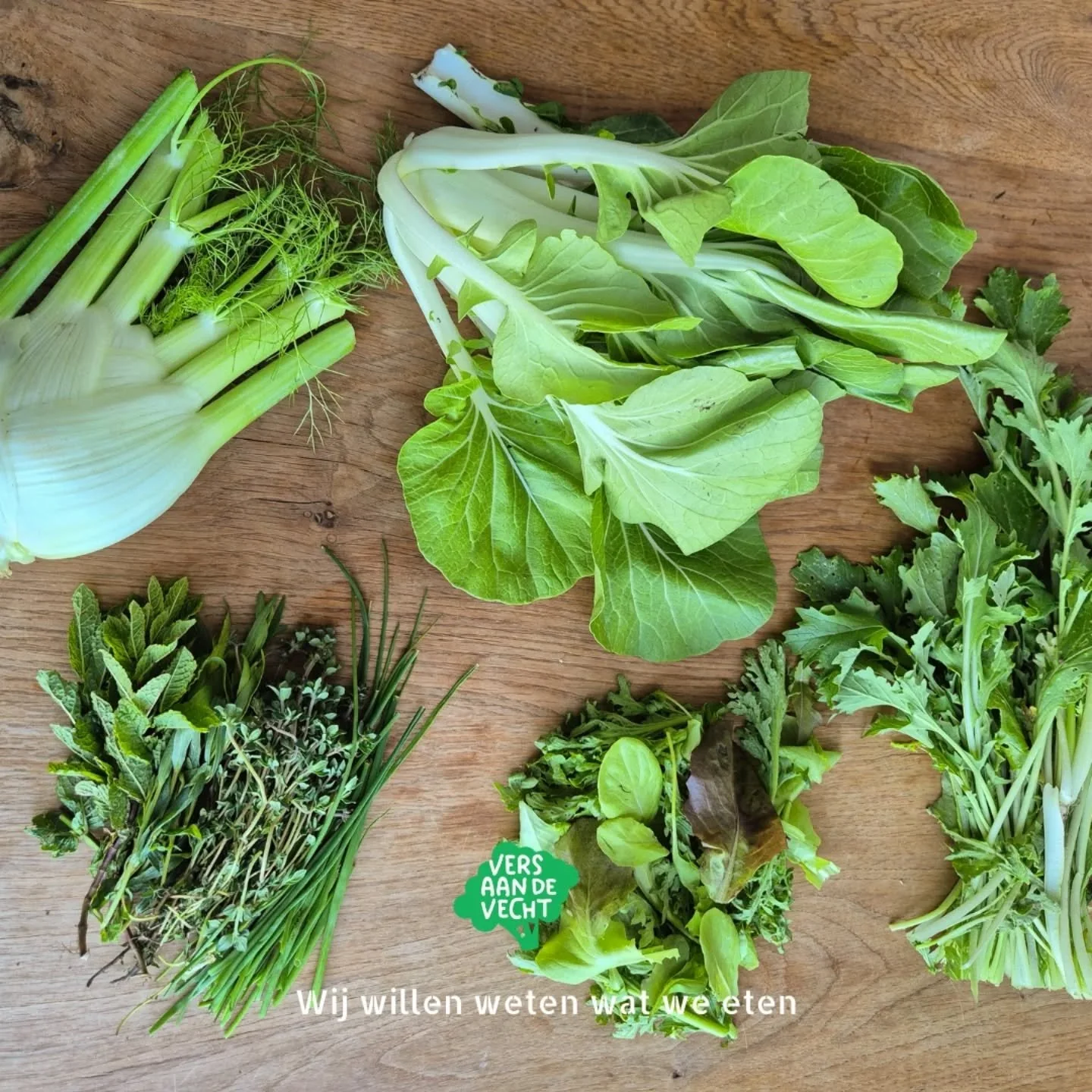 ▪︎ Oogstkrat week 20 ▪︎ 

Wat zat er deze week in het oogstkrat?

Paksoi
Raapsteel
Venkel
Snijsla

Tijm
Dragon
Munt
Bieslook

#zelfoogsttuin #biologisch #zelfoogst #duurzaam #oogsthetzelf