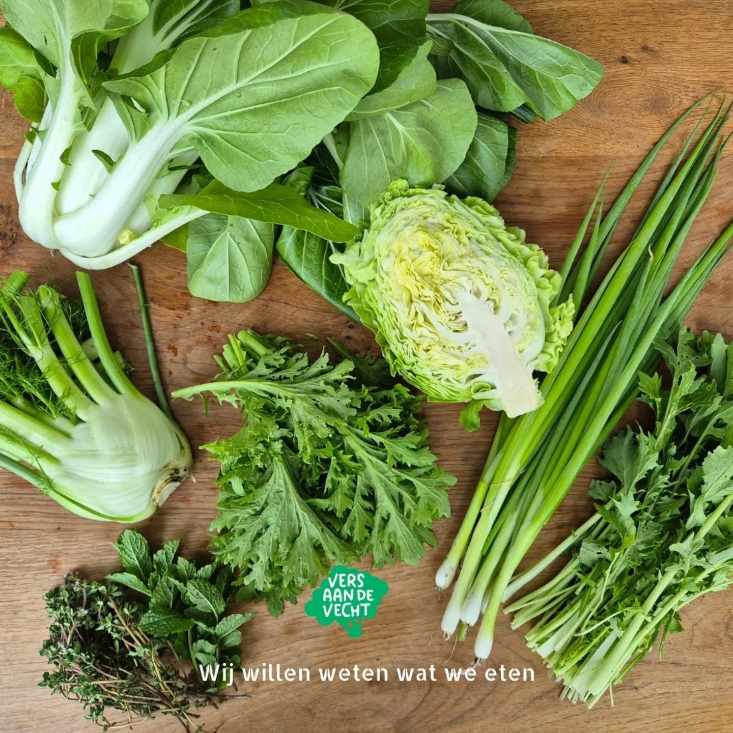 &bull; Oogstkrat week 21 &bull;

Wat zat er deze week in het oogstkrat?

Paksoi
Bosui
Raapstelen
Venkel
Spitskool
Wasabina sla

Munt
Tijm
En andere kruiden

#zelfoogsttuin #biologisch #zelfoogst #duurzaam #oogsthetzelf