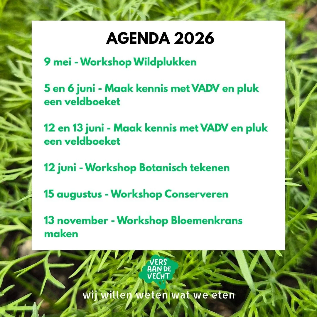 Ook dit seizoen organiseren we een aantal leuke workshops en andere activiteiten!

Kijk op de website om je aan te melden.
Link in bio.