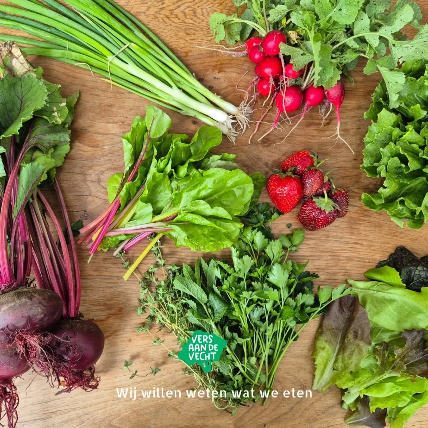 &bull; Oogstkrat week 23 &bull;

Wat zat er deze week in het oogstkrat?

Bieten
Radijzen
Lente ui
Andijvie
Snijsla
Snijbiet
Aardbeien

Kruiden naar smaak
Tijm
Peterselie
Dragon
Munt
Bonenkruid

#zelfoogsttuin #biologisch #zelfoogst #duurzaam #oogsthe