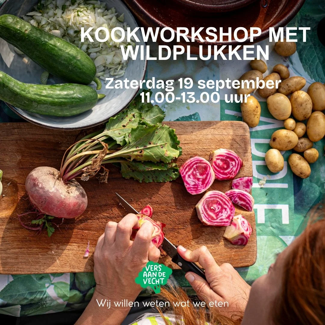 Workshop Plukken, wildplukken &eacute;n koken met Maartje en Odile

September is oogsttijd! Niet alleen op de tuin kun je mooie volle groenten oogsten, ook in de perken en bermen vind je van alles eetbaars. 

Tijdens deze workshop gaan we veld en ber