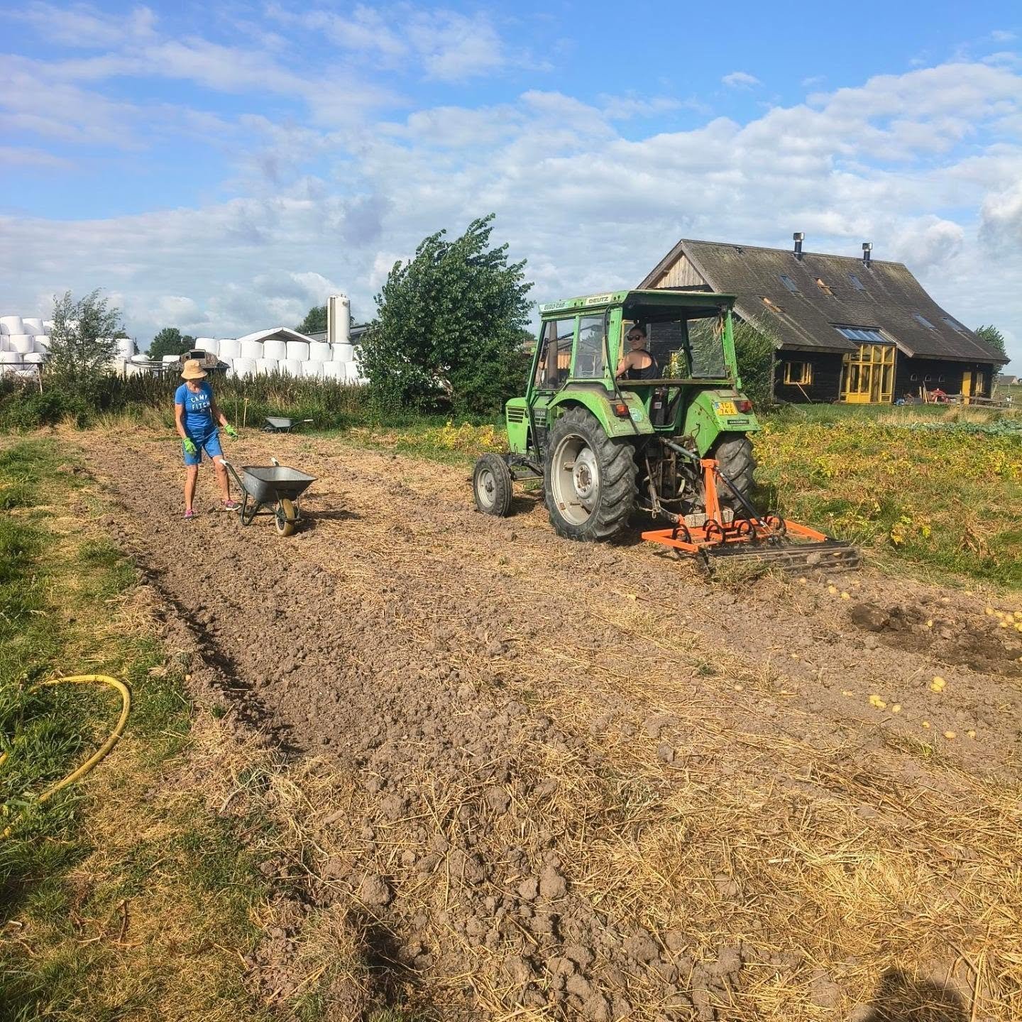 ~ Werken op de tuin in augustus~ 

Ook in augustus is er weer veel gebeurd op de tuin. Om beurten hadden tuinders Rosa en Michel vakantie. Ook veel helpende handen en plukkers waren op vakantie. Maar de tuin zelf heeft geen vakantie, dus werd er weer