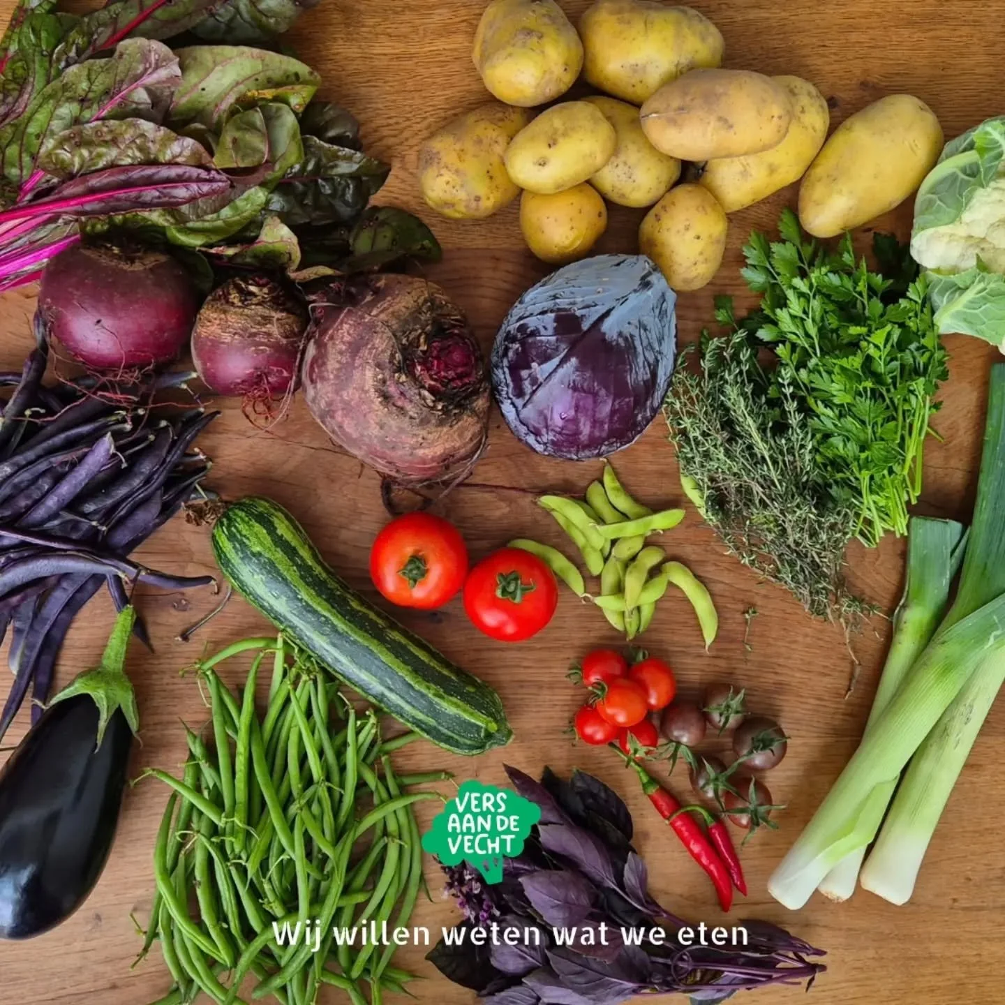 &bull; Oogstkrat week 38 &bull;

Wat zat er deze week in het oogstkrat?

Rode kool
Aardappels
Courgette
Bloemkool
Snijbiet
Tomaten
Paarse bonen
Kerstomaten
Sperziebonen
Rode bietjes
Aubergine
Paarse basilicum
Prei
Soyabonen
Pepers

Kruiden naar smaak