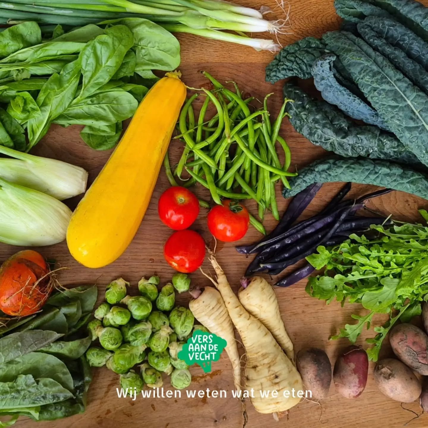 &bull; Oogstkrat week 41 &bull;

Wat zat er deze week in het oogstkrat?

Rode of gele biet
Aardappels
Venkel
Spruitjes
Tomaten
Sperziebonen
Paarse bonen
Rucola
Pastinaak
Palmkool
Soyabonen
Snijsla
Spinazie
Courgette
Lente ui

Kruiden naar smaak
Tijm
