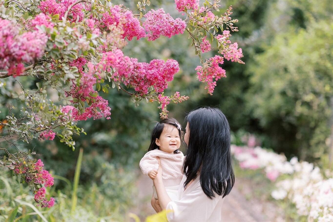 Way too many favourites from these session. I got the photograph this family from maternity, newborn and now first year. It&rsquo;s beautiful to be part of their memorable milestones from the start. 

Crepe Myrtle trees and blooms symbolizes beauty a
