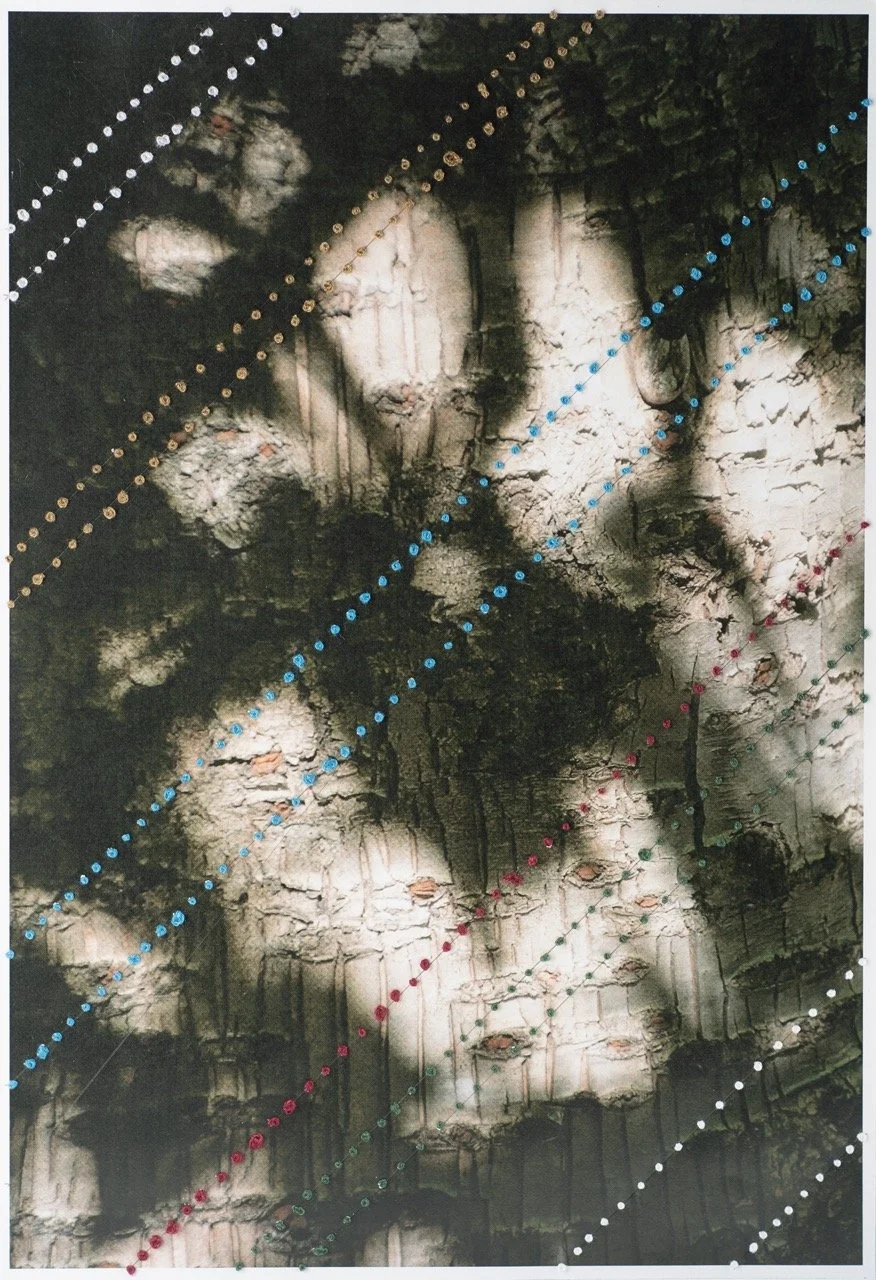 Traces of Light