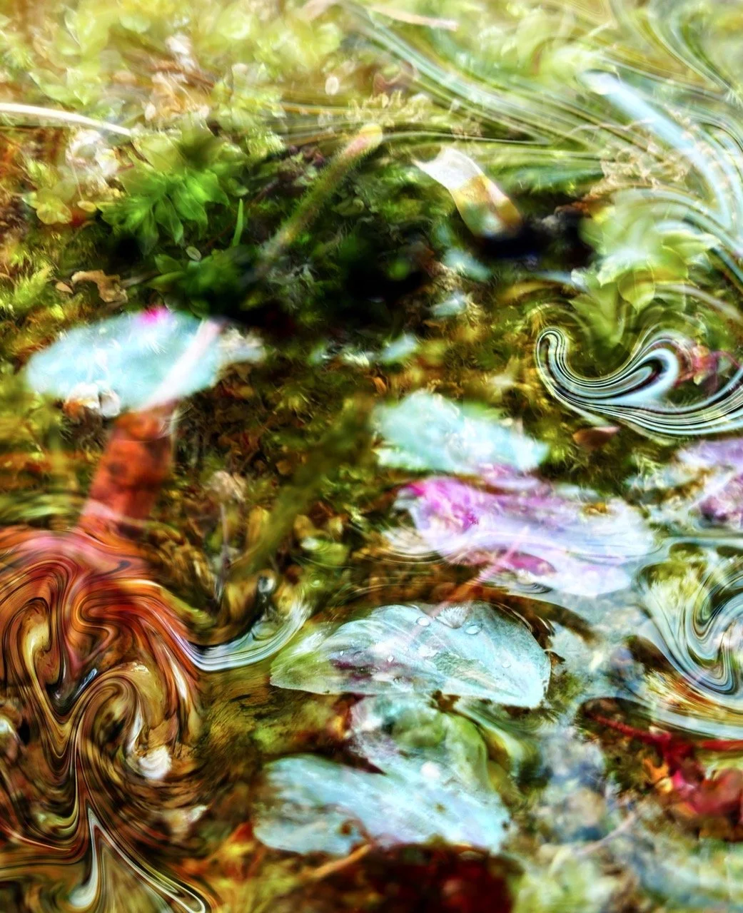 Moss Sakura